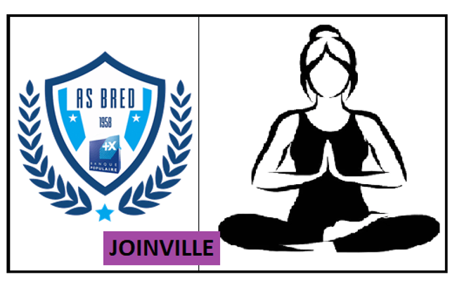 Yoga Joinville AS BRED is a generic team. They are using SportEasy, the best web and mobile app to manage any sports team (football, soccer, rugby, basketball, baseball, hockey, volleyball...). Coaches and managers can organize the games and practices or send group messages to their players. Players have convenient access to their schedule or statistics. SportEasy is free and available online and there’s an app for iPhone and Android.