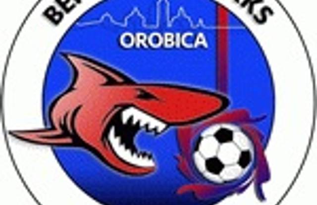 L'équipe OROBICA CALCIO BERGAMO est une équipe de football. Elle utlise SportEasy qui est l'appli de référence pour organiser vos matchs & entraînements et gérer votre équipe de foot, rugby, basket ou tout autre sport. Gratuit, SportEasy est disponible sur le web, sur iPhone et sur Android.