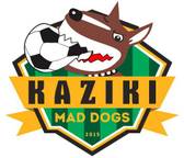 team_logo