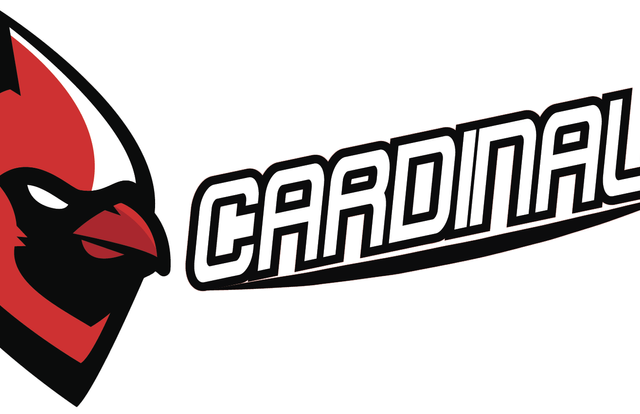 Cardinals Moustique A1 is a baseball team. They are using SportEasy, the best web and mobile app to manage any sports team (football, soccer, rugby, basketball, baseball, hockey, volleyball...). Coaches and managers can organize the games and practices or send group messages to their players. Players have convenient access to their schedule or statistics. SportEasy is free and available online and there’s an app for iPhone and Android.