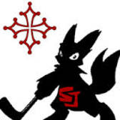 team_logo