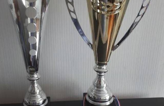 FONTENAY FOOTBALL TEAM is a football team. They are using SportEasy, the best web and mobile app to manage any sports team (football, soccer, rugby, basketball, baseball, hockey, volleyball...). Coaches and managers can organize the games and practices or send group messages to their players. Players have convenient access to their schedule or statistics. SportEasy is free and available online and there’s an app for iPhone and Android.