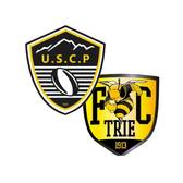 team_logo