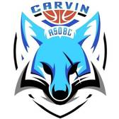 team_logo