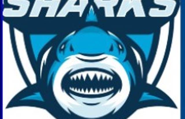 U11 is a handball team. They are using SportEasy, the best web and mobile app to manage any sports team (football, soccer, rugby, basketball, baseball, hockey, volleyball...). Coaches and managers can organize the games and practices or send group messages to their players. Players have convenient access to their schedule or statistics. SportEasy is free and available online and there’s an app for iPhone and Android.