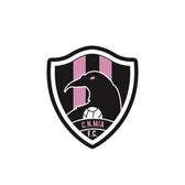 team_logo