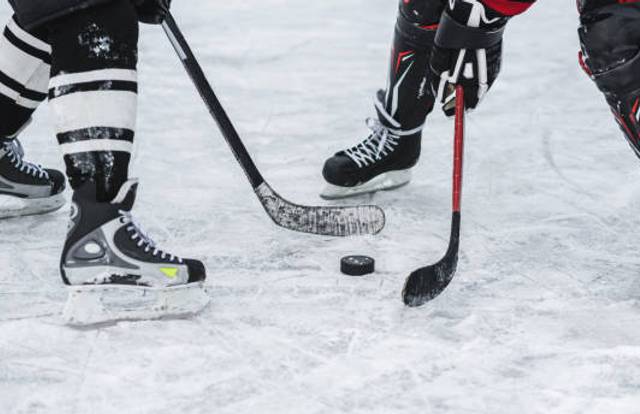 FHL is a ice_hockey team. They are using SportEasy, the best web and mobile app to manage any sports team (football, soccer, rugby, basketball, baseball, hockey, volleyball...). Coaches and managers can organize the games and practices or send group messages to their players. Players have convenient access to their schedule or statistics. SportEasy is free and available online and there’s an app for iPhone and Android.