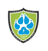 team_logo