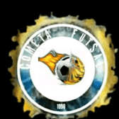 team_logo