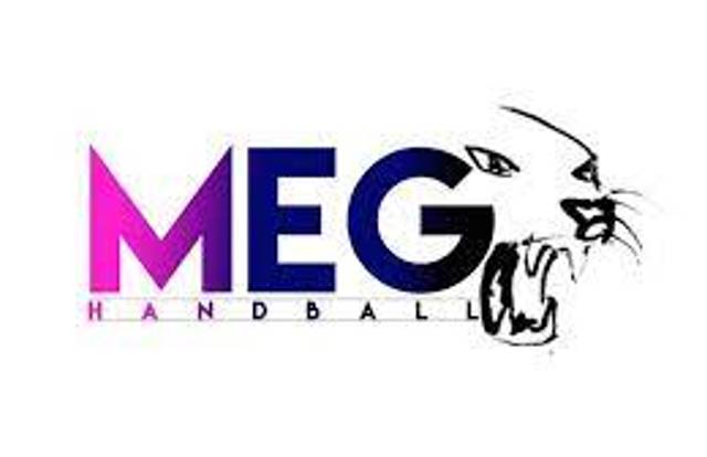 Entente MEG is a handball team. They are using SportEasy, the best web and mobile app to manage any sports team (football, soccer, rugby, basketball, baseball, hockey, volleyball...). Coaches and managers can organize the games and practices or send group messages to their players. Players have convenient access to their schedule or statistics. SportEasy is free and available online and there’s an app for iPhone and Android.