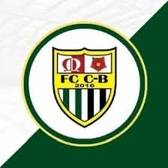 team_logo