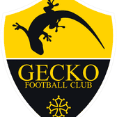 team_logo