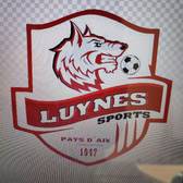 team_logo