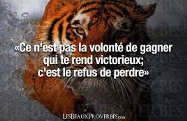 U11 M Perf is a basket team. They are using SportEasy, the best web and mobile app to manage any sports team (football, soccer, rugby, basketball, baseball, hockey, volleyball...). Coaches and managers can organize the games and practices or send group messages to their players. Players have convenient access to their schedule or statistics. SportEasy is free and available online and there’s an app for iPhone and Android.