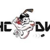 team_logo