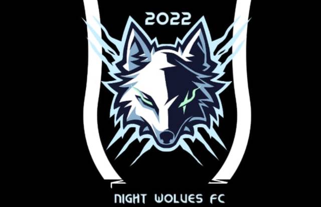 L'équipe Night Wolves est une équipe de football. Elle utlise SportEasy qui est l'appli de référence pour organiser vos matchs & entraînements et gérer votre équipe de foot, rugby, basket ou tout autre sport. Gratuit, SportEasy est disponible sur le web, sur iPhone et sur Android.