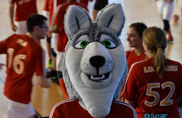 Adulte compétition is a volley team. They are using SportEasy, the best web and mobile app to manage any sports team (football, soccer, rugby, basketball, baseball, hockey, volleyball...). Coaches and managers can organize the games and practices or send group messages to their players. Players have convenient access to their schedule or statistics. SportEasy is free and available online and there’s an app for iPhone and Android.