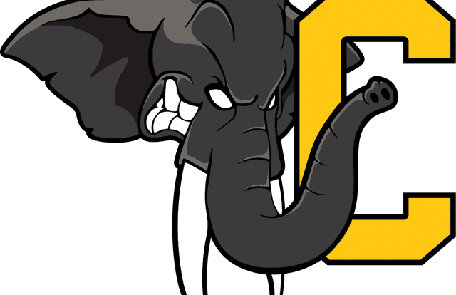 LES ELEPHANTS DE CHAMBERY is a ice_hockey team. They are using SportEasy, the best web and mobile app to manage any sports team (football, soccer, rugby, basketball, baseball, hockey, volleyball...). Coaches and managers can organize the games and practices or send group messages to their players. Players have convenient access to their schedule or statistics. SportEasy is free and available online and there’s an app for iPhone and Android.