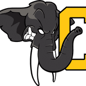 team_logo