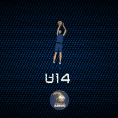 team_logo