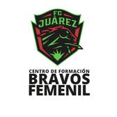 team_logo