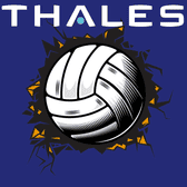 team_logo