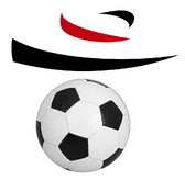 team_logo