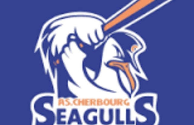 Seagulls Cherbourg is a baseball team. They are using SportEasy, the best web and mobile app to manage any sports team (football, soccer, rugby, basketball, baseball, hockey, volleyball...). Coaches and managers can organize the games and practices or send group messages to their players. Players have convenient access to their schedule or statistics. SportEasy is free and available online and there’s an app for iPhone and Android.