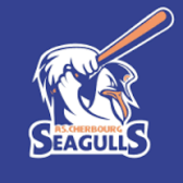 team_logo