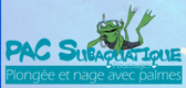 team_logo