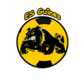 team_logo