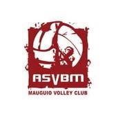 team_logo