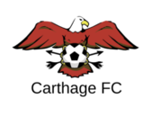 team_logo