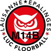 team_logo