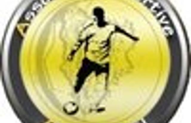 AS BOIS-D'ARCY A is a football team. They are using SportEasy, the best web and mobile app to manage any sports team (football, soccer, rugby, basketball, baseball, hockey, volleyball...). Coaches and managers can organize the games and practices or send group messages to their players. Players have convenient access to their schedule or statistics. SportEasy is free and available online and there’s an app for iPhone and Android.