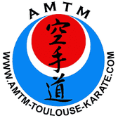 team_logo