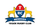team_logo
