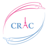 team_logo