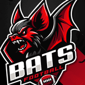 team_logo