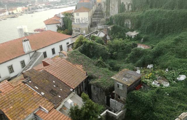 Basse Cour Basket is a basket team. They are using SportEasy, the best web and mobile app to manage any sports team (football, soccer, rugby, basketball, baseball, hockey, volleyball...). Coaches and managers can organize the games and practices or send group messages to their players. Players have convenient access to their schedule or statistics. SportEasy is free and available online and there’s an app for iPhone and Android.