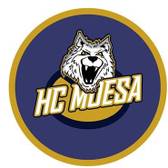 team_logo