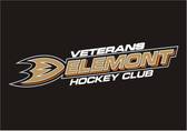team_logo
