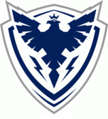 team_logo