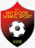 team_logo