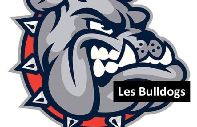 Les Bulldogs is a football team. They are using SportEasy, the best web and mobile app to manage any sports team (football, soccer, rugby, basketball, baseball, hockey, volleyball...). Coaches and managers can organize the games and practices or send group messages to their players. Players have convenient access to their schedule or statistics. SportEasy is free and available online and there’s an app for iPhone and Android.