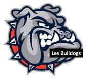 team_logo
