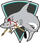 team_logo