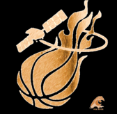 team_logo