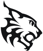 team_logo