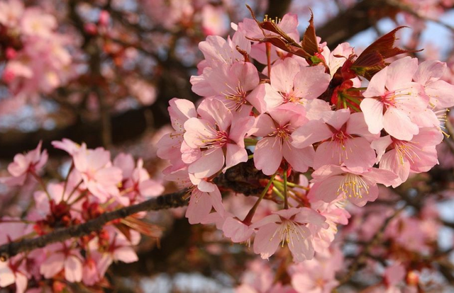 Taï So is a generic team. They are using SportEasy, the best web and mobile app to manage any sports team (football, soccer, rugby, basketball, baseball, hockey, volleyball...). Coaches and managers can organize the games and practices or send group messages to their players. Players have convenient access to their schedule or statistics. SportEasy is free and available online and there’s an app for iPhone and Android.